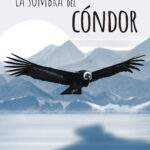 La sombra del cóndor