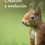 Creación y evolución Image